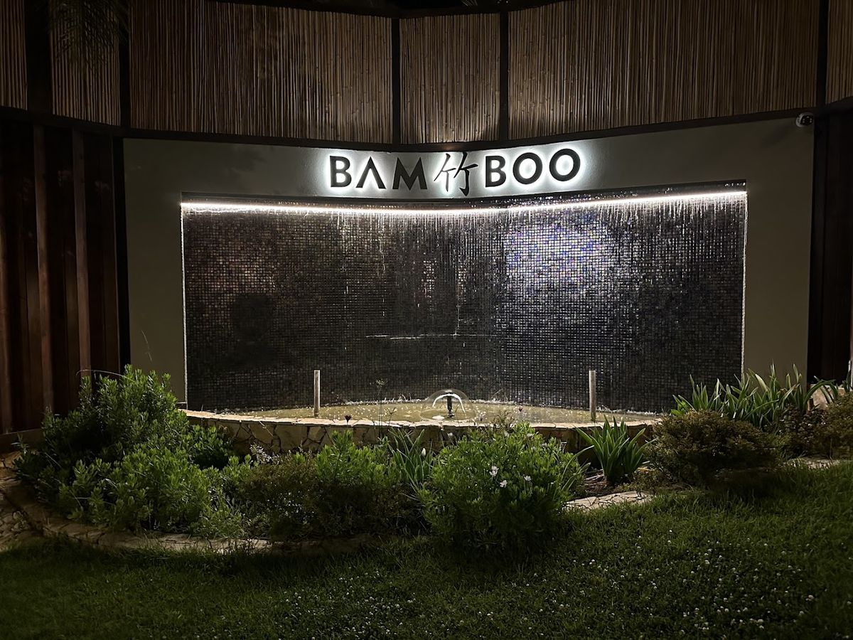 Bamboo — photo 11 of 12