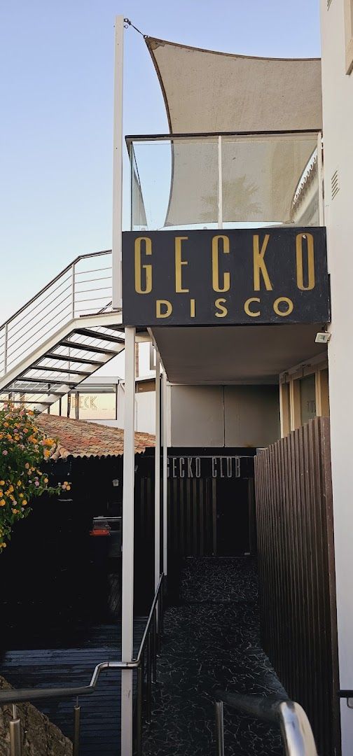 Gecko — photo 7 of 12