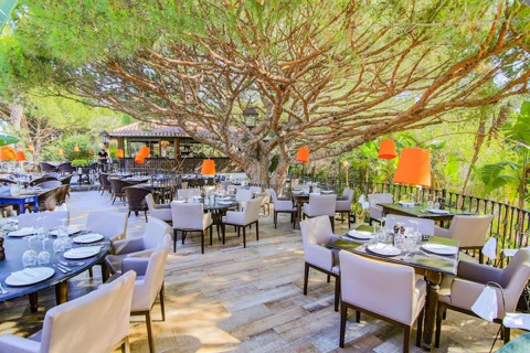 Parrilla Natural — Steakhouse · Almancil · €€€
