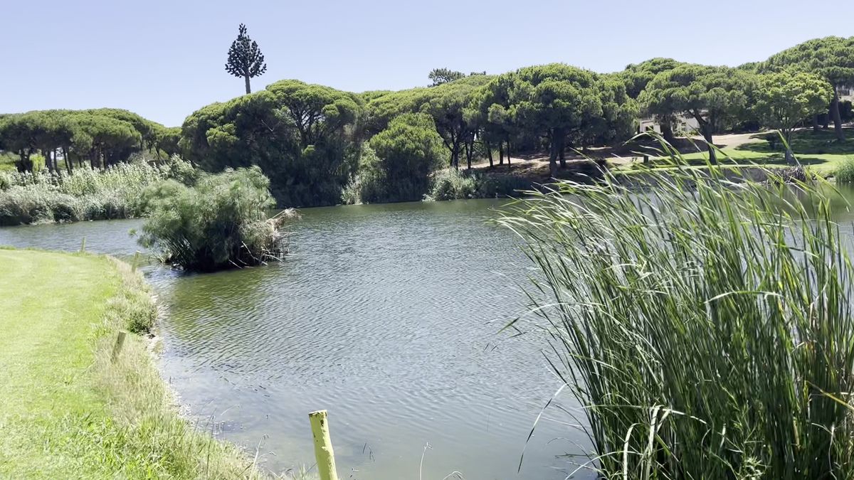 San Lorenzo Golf Clubhouse — photo 9 of 12